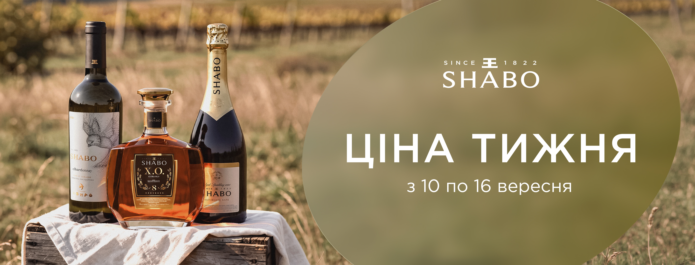 Shabo promo img