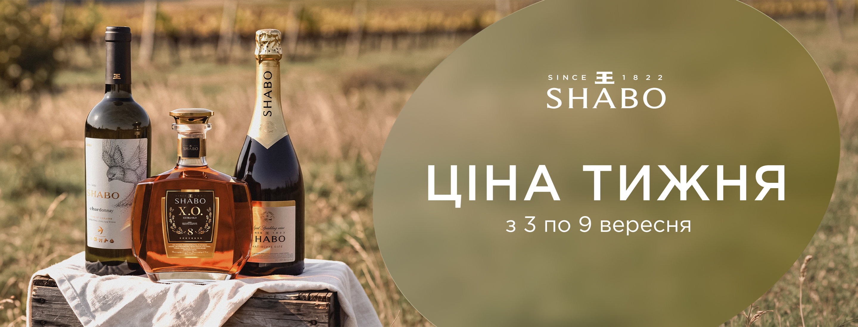 Shabo promo img
