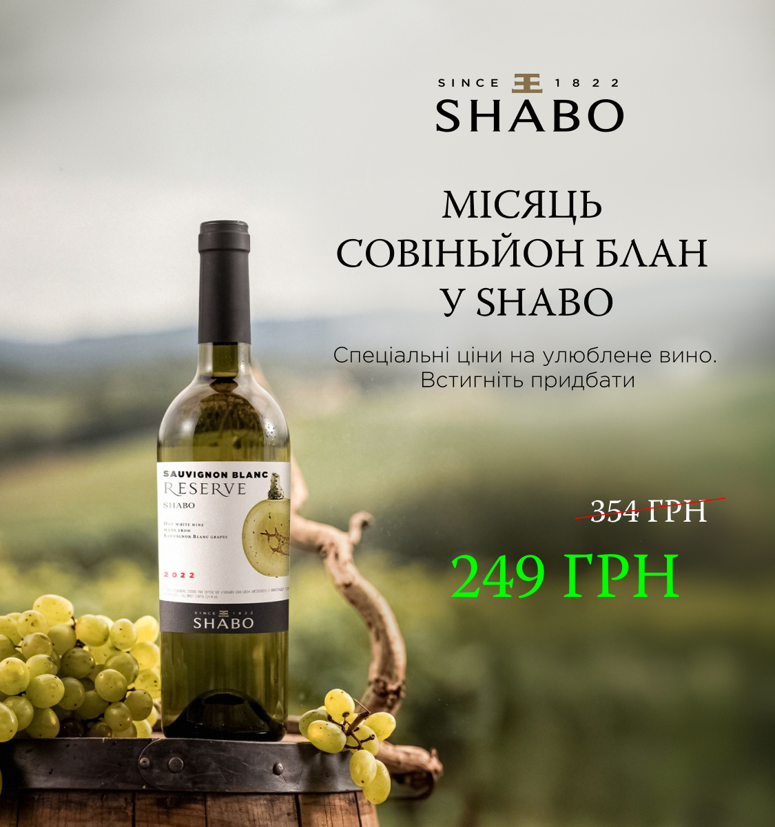 Shabo promo img